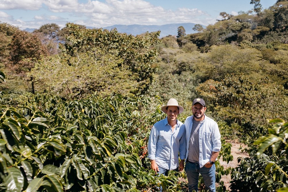 A Trip to a Guatemalan Coffee Farm