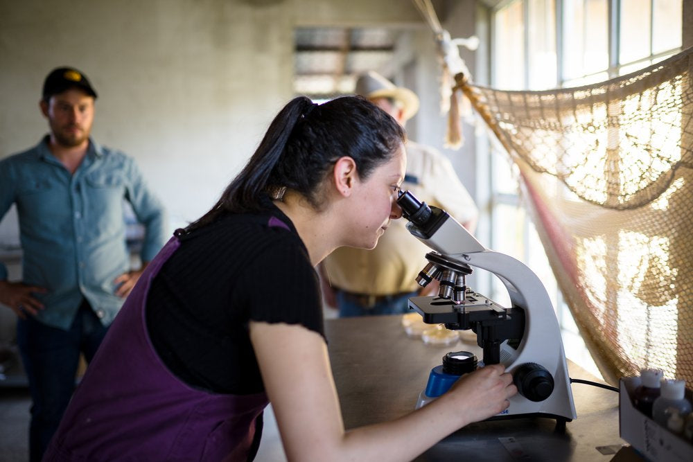 Using science to make amazing coffees in Guatemala