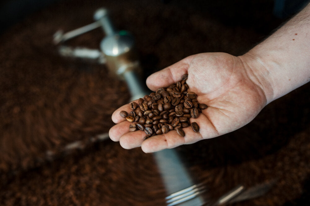 Finding a Wholesale Coffee Provider